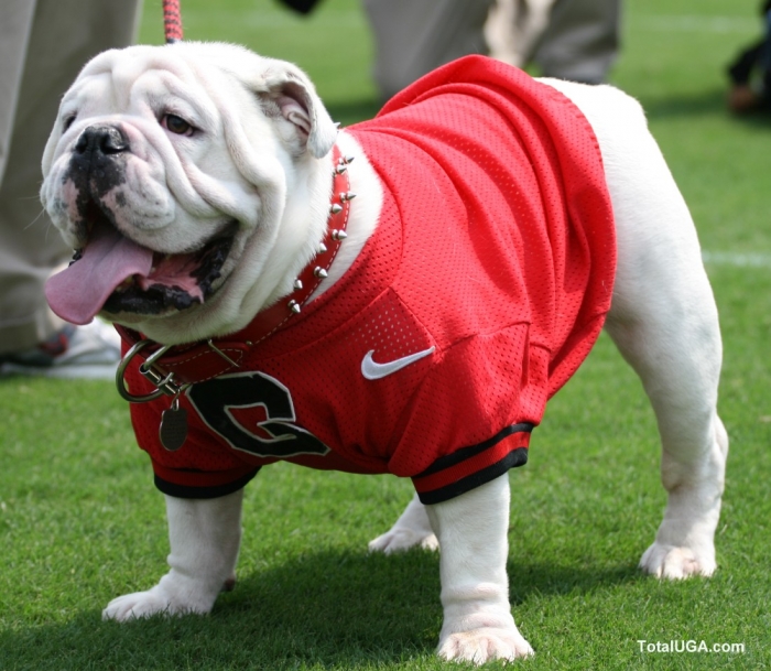 Uga Mail