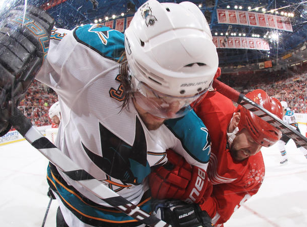 sharks1