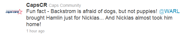 nicky pup2