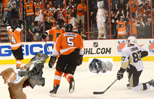 Penguins