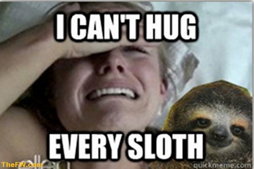 Kristen-Bell-Meme-hug-sloth