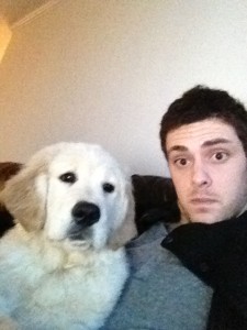 cohen and puppy