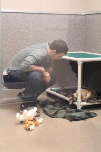 eberle with dog