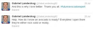 landeskog, gabe - avacado