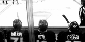 geno6