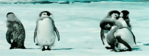 happy penguins
