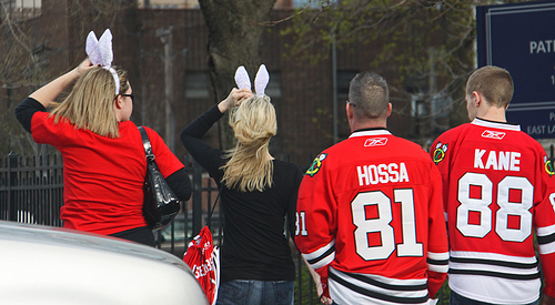 hawks