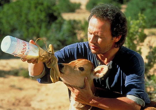 city slickers