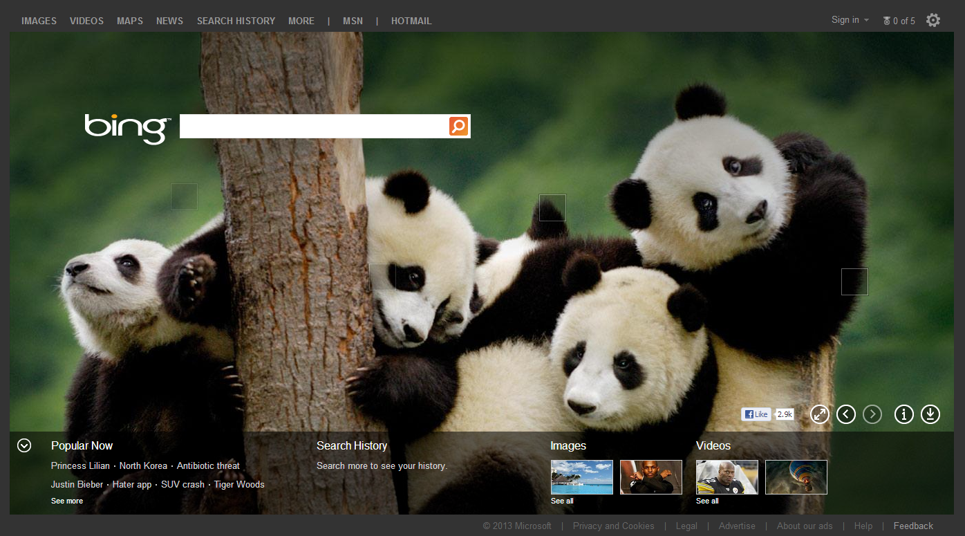 pandas