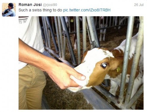 Moooooo hmmmmm